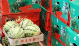 西昌吃瓜最新事件爆料,揭秘背后真相与网络热议